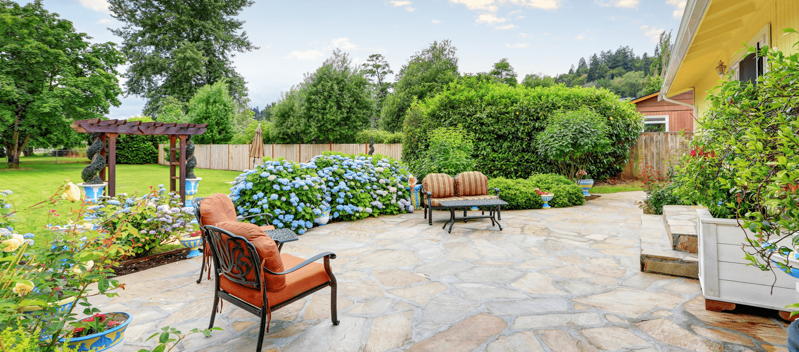 8 Tips For A Bug Free Backyard